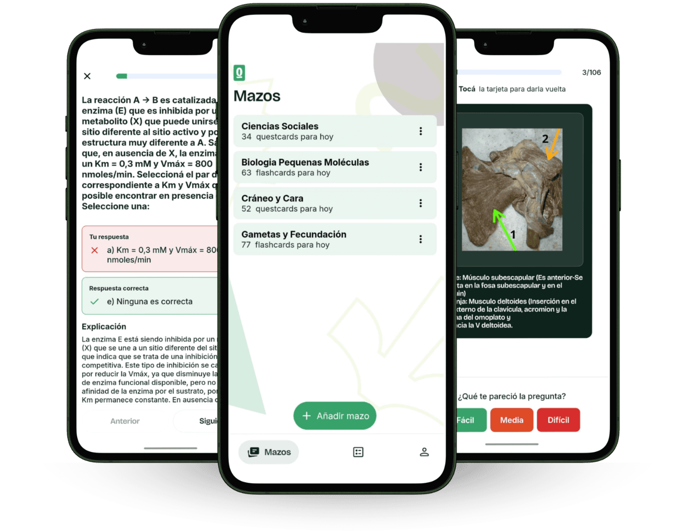 Vista previa de la app Questcard